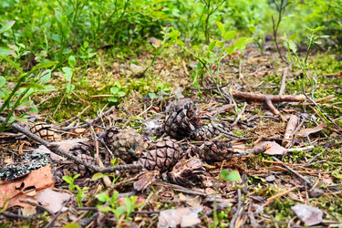 Similar image 21525504