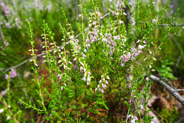 Similar image 21525509