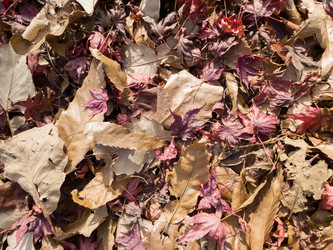 Similar image 21524545