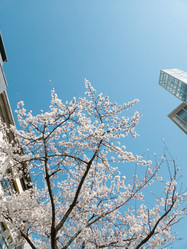 Similar image 21524546