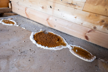 Similar image 21524548