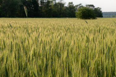 Similar image 21524549