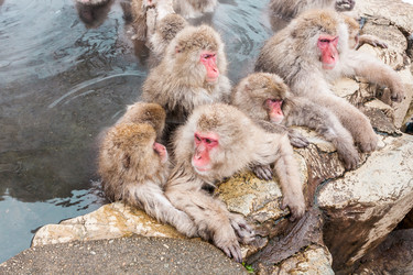 Similar image 21524560