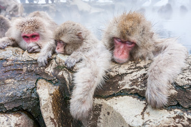 Similar image 21524561