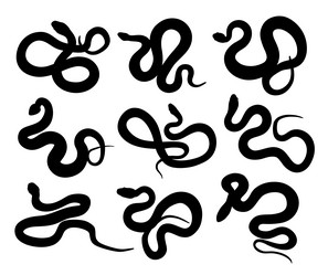 Similar image 21524567