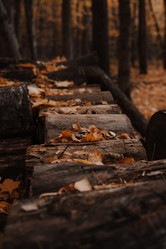 Similar image 21528229