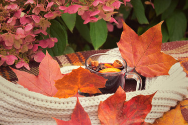 Similar image 21524768