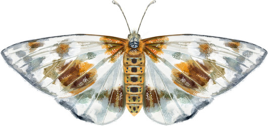 Similar image 21524967