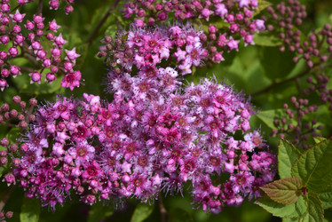 Similar image 21524932