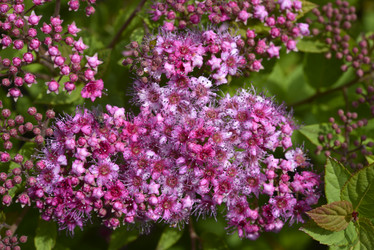 Similar image 21524933