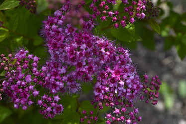 Similar image 21524934