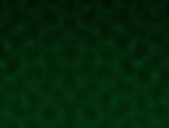 Similar image 21530030