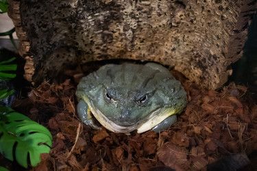 Similar image 21524737