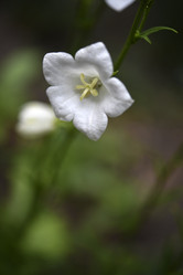 Similar image 21524917