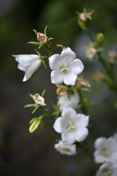 Similar image 21524918