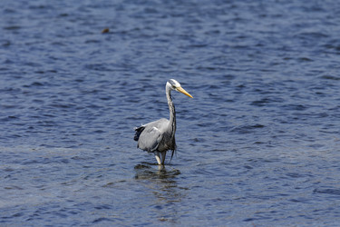 Similar image 21525031