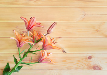 Similar image 21525367