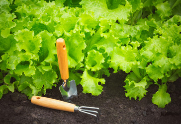 Similar image 21525392