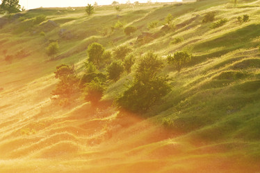 Similar image 21525100