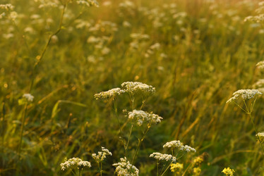 Similar image 21535272