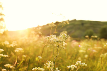 Similar image 21525812