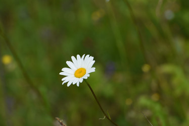 Similar image 21525815