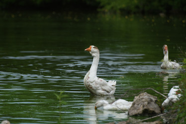 Similar image 21535273