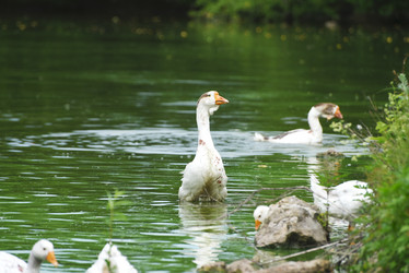 Similar image 21525817