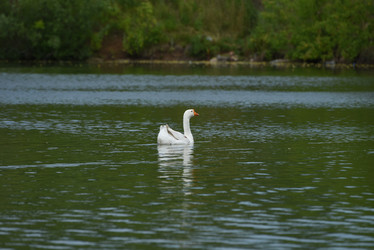 Similar image 21525818