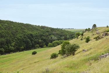 Similar image 21525101