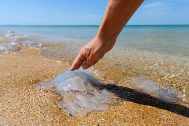 Similar image 21525660