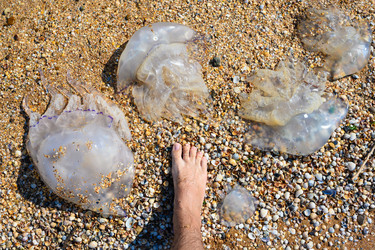 Similar image 21524971