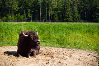 Similar image 21525132