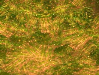 Similar image 21542271