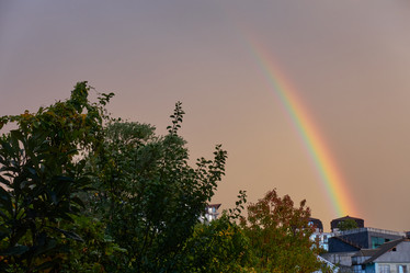 Similar image 21525140