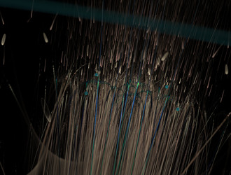 Similar image 21549686