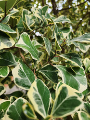 Similar image 21525149