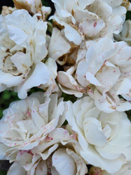 Similar image 21525150