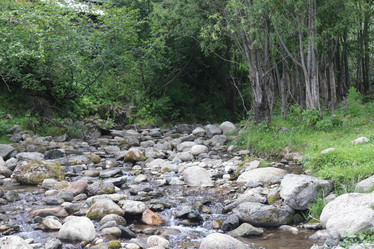 Similar image 21525213