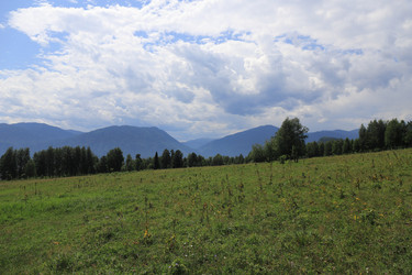 Similar image 21525220