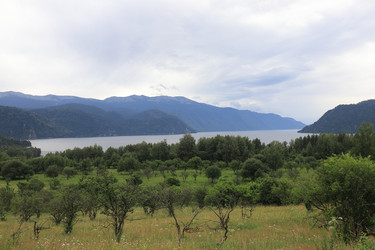 Similar image 21525227