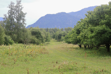 Similar image 21525228