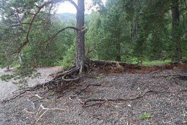 Similar image 21525232