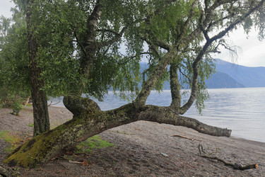 Similar image 21525234