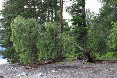 Similar image 21525237