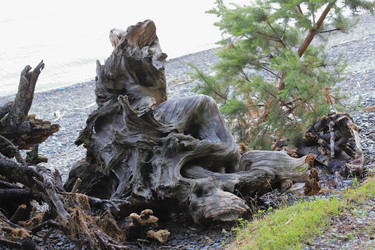 Similar image 21525238