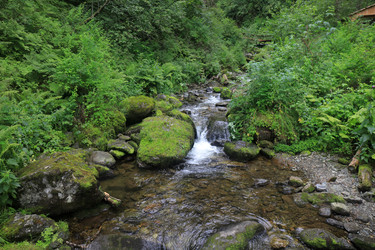 Similar image 21525248