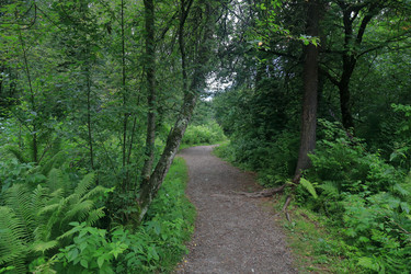 Similar image 21525250