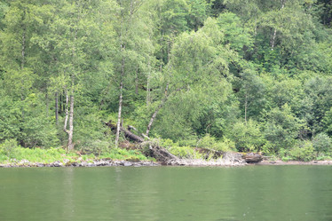 Similar image 21525252