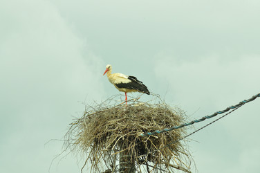 Similar image 21525158